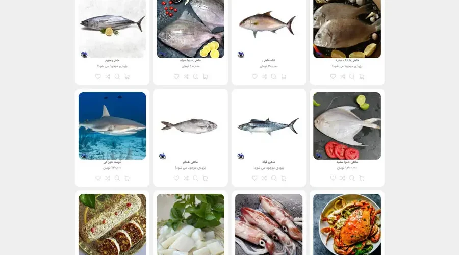 صفحه نخست مروارید سیاه بوشهر 05 12 2025 11 05 AM 900x500